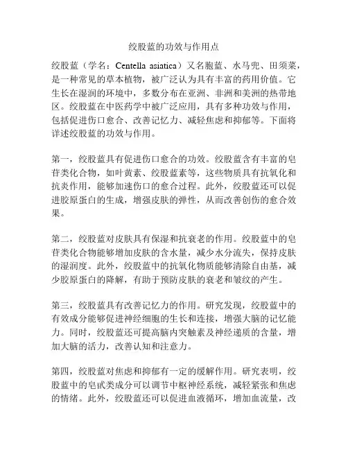 绞股蓝的功效与作用点