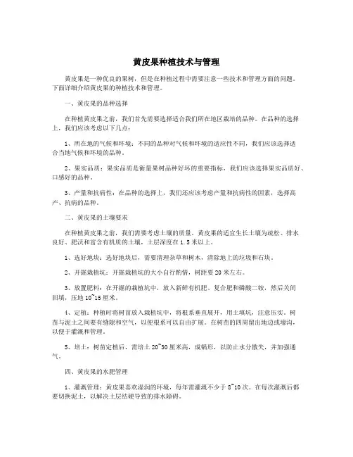 黄皮果种植技术与管理