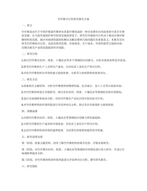 竹纤维可行性研究报告方案