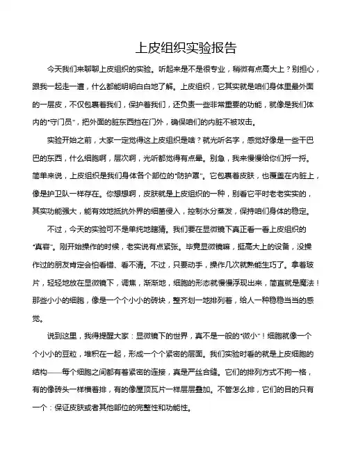 上皮组织实验报告