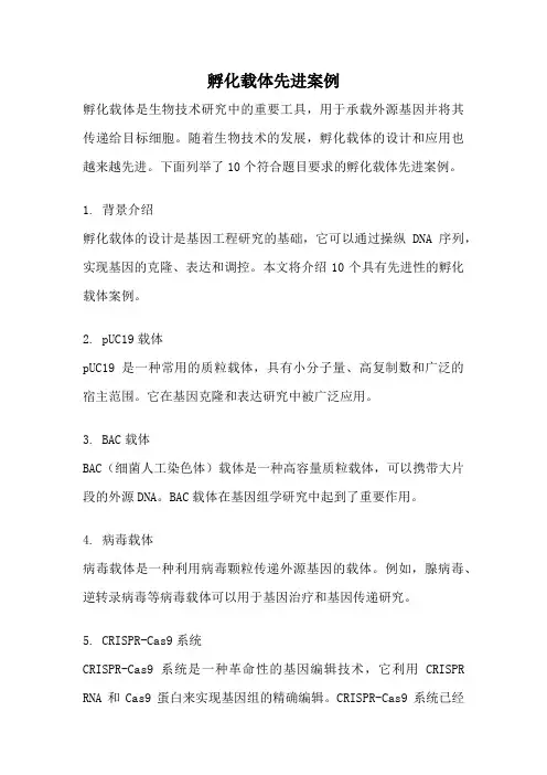 孵化载体先进案例