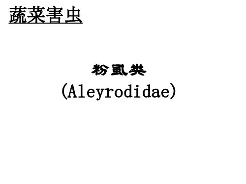 粉虱