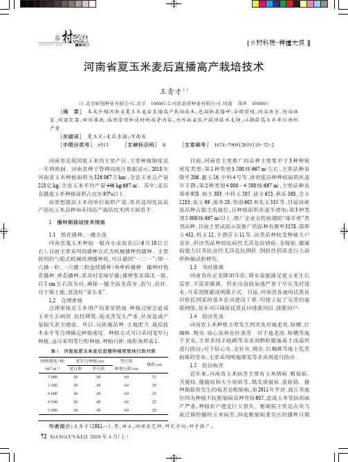 河南省夏玉米麦后直播高产栽培技术