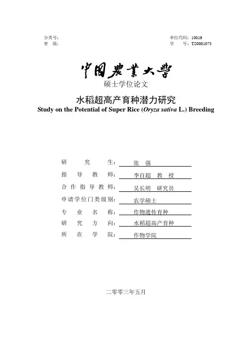 水稻超高产育种潜力研究