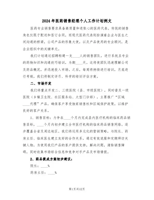2024年医药销售经理个人工作计划例文（五篇）