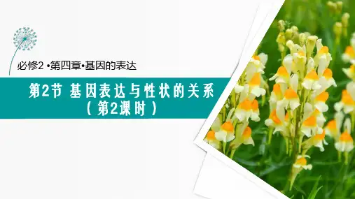 表观遗传  课件 高一下学期生物人教版必修2