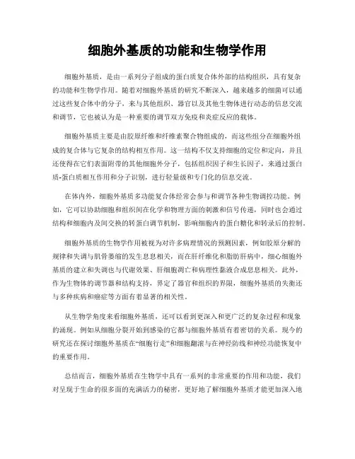 细胞外基质的功能和生物学作用