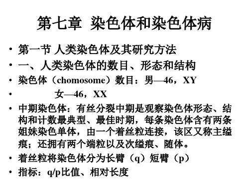 第七章染色体