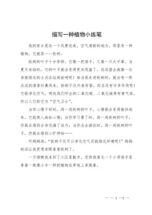 描写一种植物小练笔