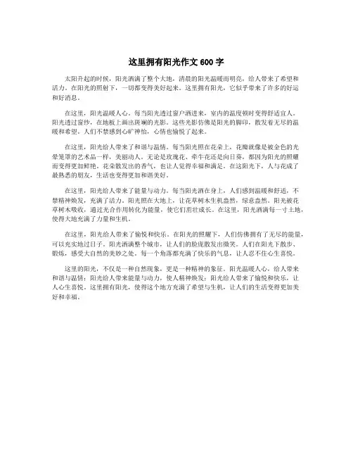这里拥有阳光作文600字