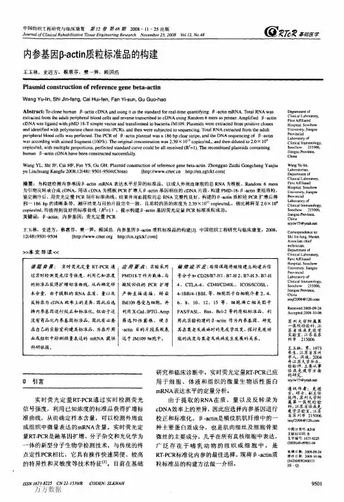内参基因βactin质粒标准品的构建