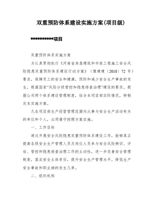 双重预防体系建设实施方案(项目级)