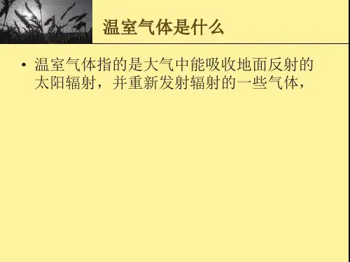 节能减排讲座ppt课件