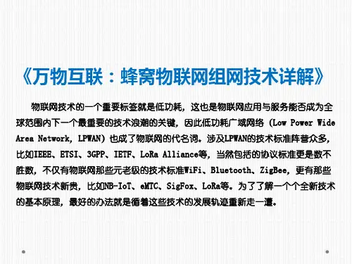 《万物互联：蜂窝物联网组网技术详解》