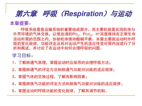 运动生理学6
