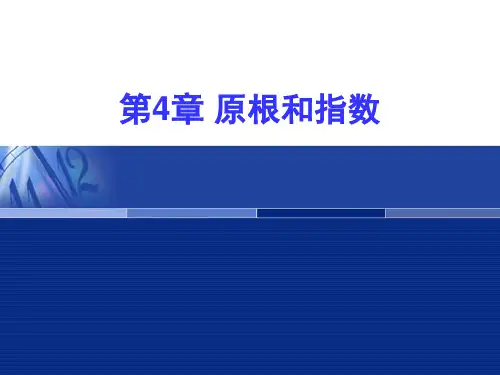 第四章原根和指数