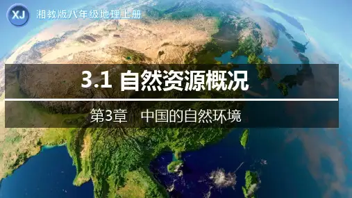 3.1 自然资源概况-八年级地理上册课件湘教版(共22张PPT)
