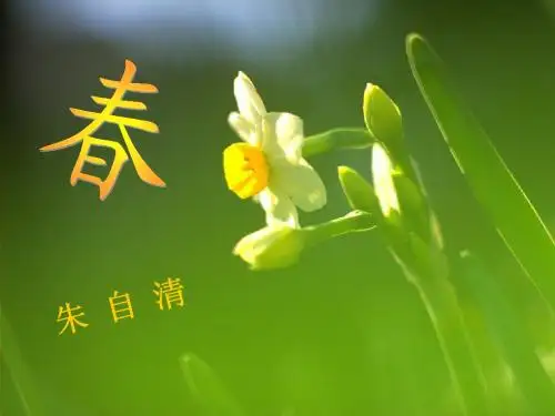 春-朱自清__教学课件(杨怀青)_ppt
