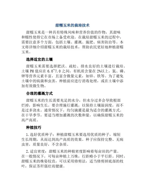 甜糯玉米的栽培技术