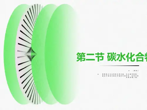 碳水化合物ppt课件