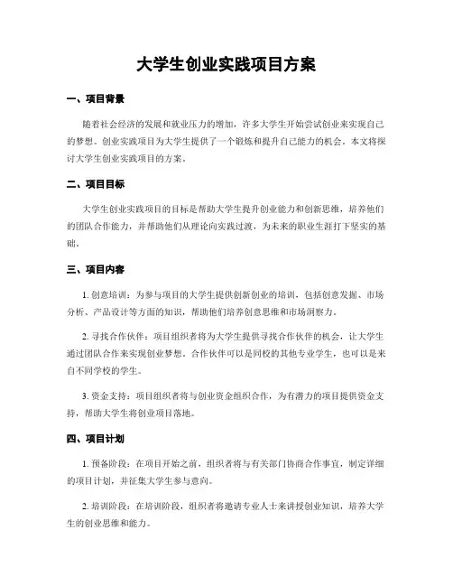 大学生创业实践项目方案