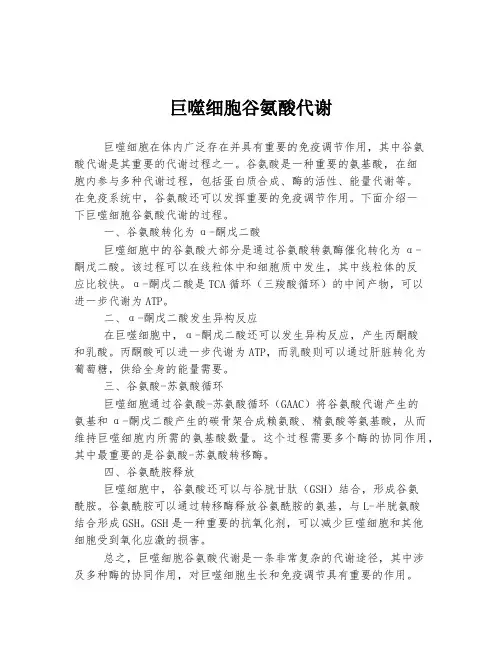 巨噬细胞谷氨酸代谢