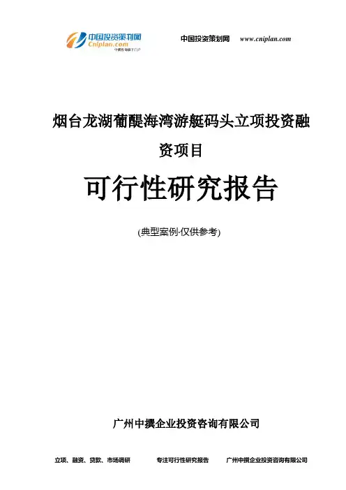 烟台龙湖葡醍海湾游艇码头融资投资立项项目可行性研究报告(非常详细)