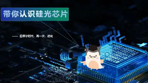 【小鸿带你玩AI】带你认识硅光芯片