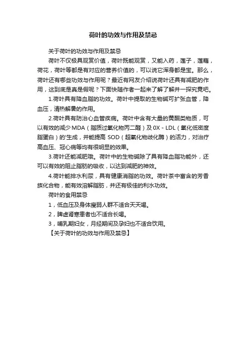 荷叶的功效与作用及禁忌