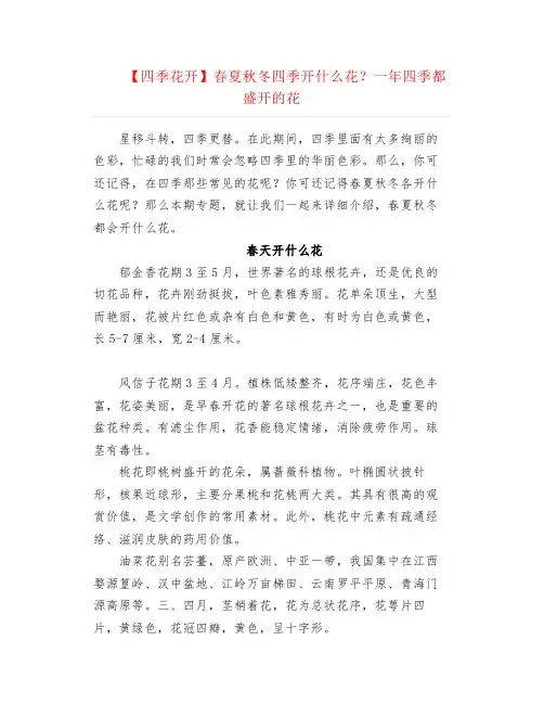 【四季花开】春夏秋冬四季开什么花？一年四季都盛开的花