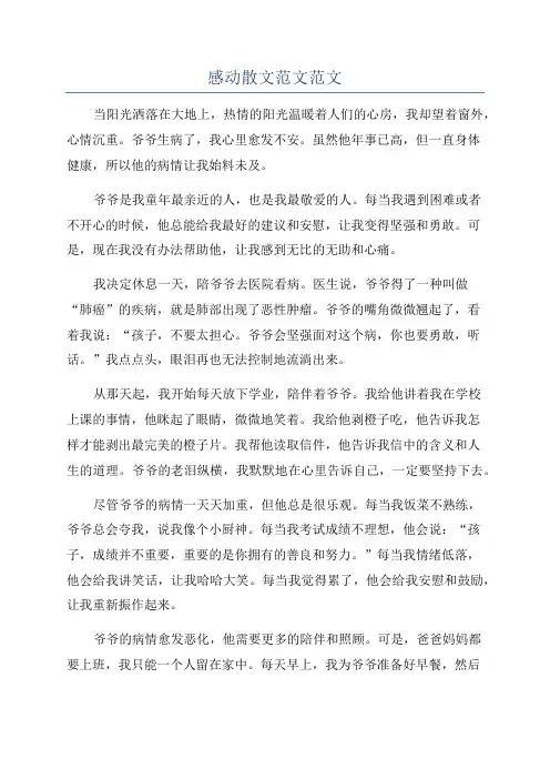 感动散文范文范文