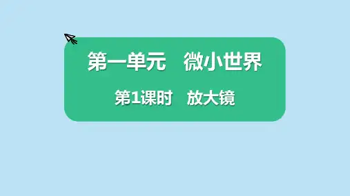 新版教科版小学六年级上册科学《放大镜》课件