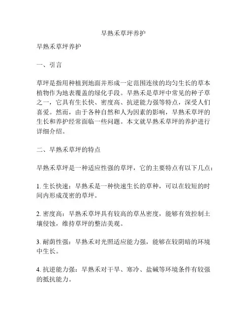 早熟禾草坪养护