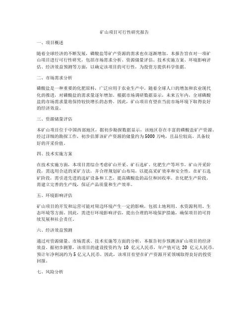矿山项目可行性研究报告