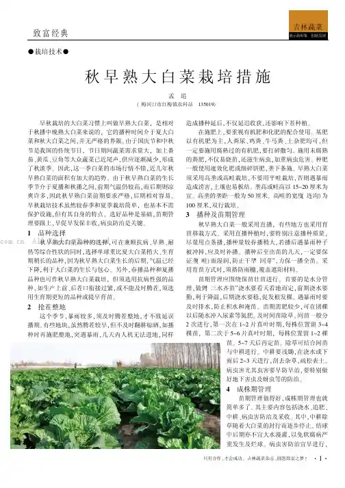 秋早熟大白菜栽培措施