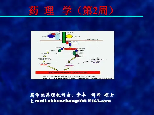 药理学 (2)