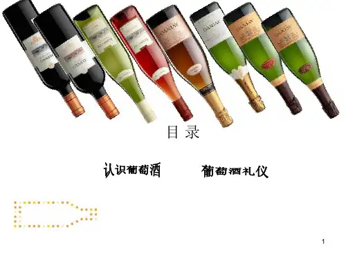 红酒知识培训精品PPT课件