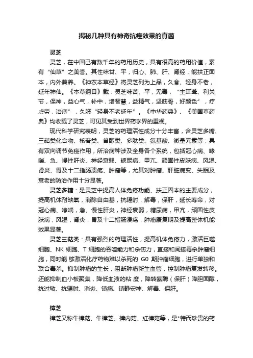 揭秘几种具有神奇抗癌效果的真菌