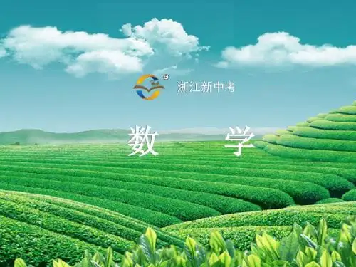 2018年浙江新中考数学第8课时 不等式及一元一次不等式(组)