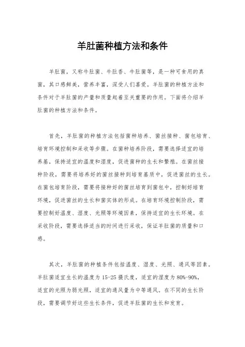 羊肚菌种植方法和条件