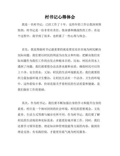 村书记心得体会
