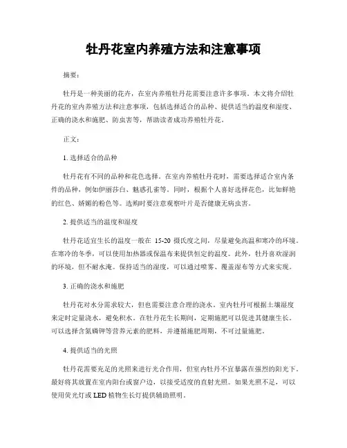 牡丹花室内养殖方法和注意事项