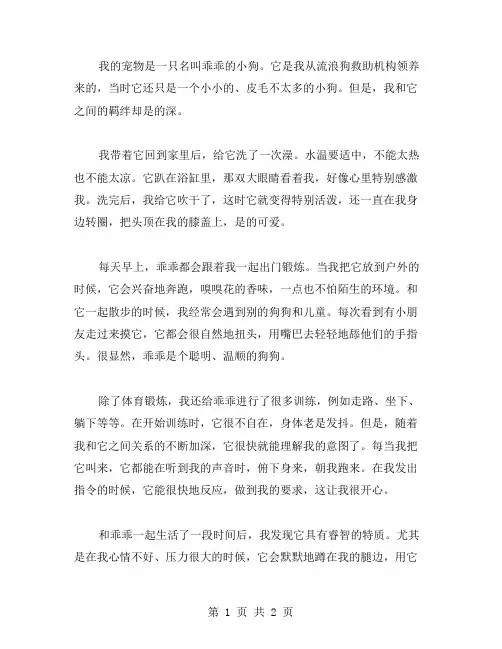 我和乖乖狗作文范文