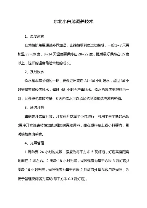 东北小白鹅饲养技术