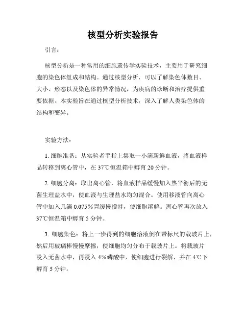 核型分析实验报告
