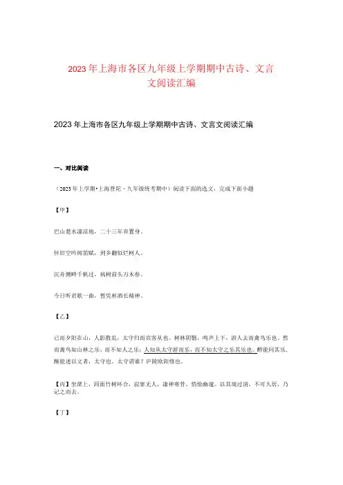 2023年上海市各区九年级上学期期中古诗、文言文阅读汇编
