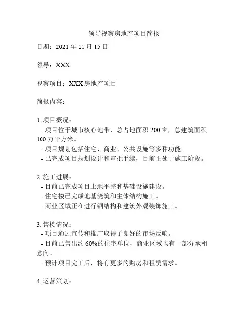 领导视察房地产项目简报