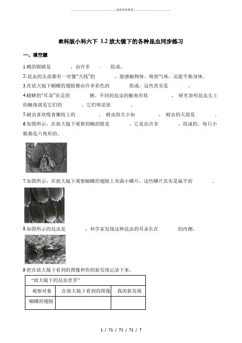 六年级下册科学一课一练 1.2放大镜下的昆虫世界 教科版(含答案)