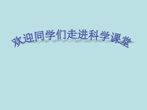 四年级下册科学课件 -1.5  导体与绝缘体｜教科版 (共17张PPT)