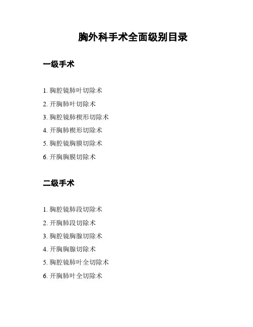胸外科手术全面级别目录